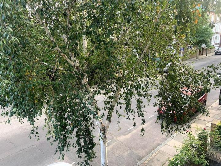 Lovely Spacious 1-Bedroom Flat In Tufnell Park Close To Central London Eksteriør billede